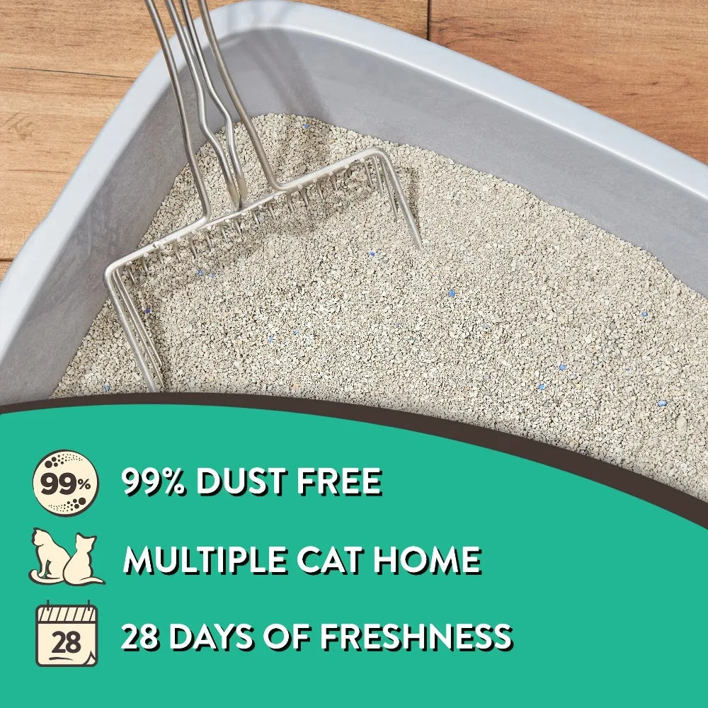 Special Kitty Clumping Cat Litter With Fresh Scent Odor Control