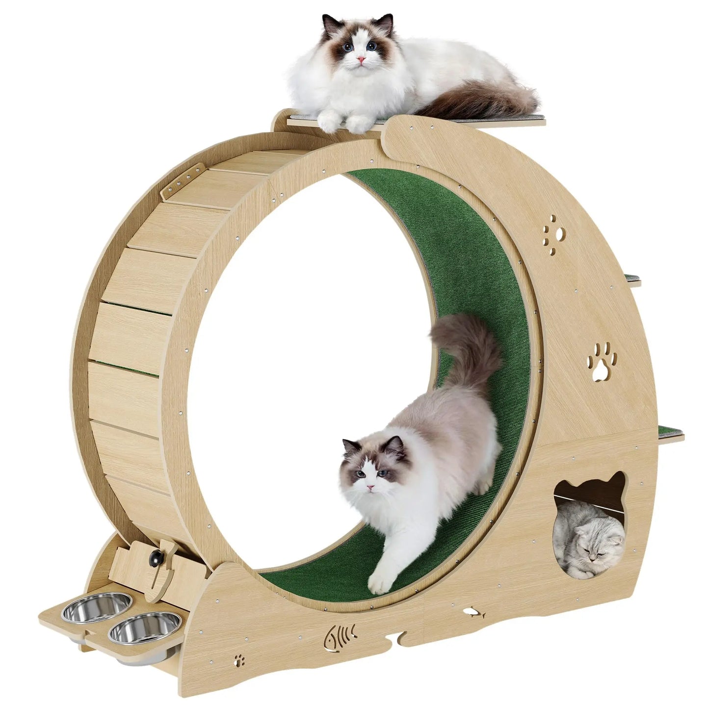 HiMISS Multifunctional Cat Exercise Wheel Scratch Post