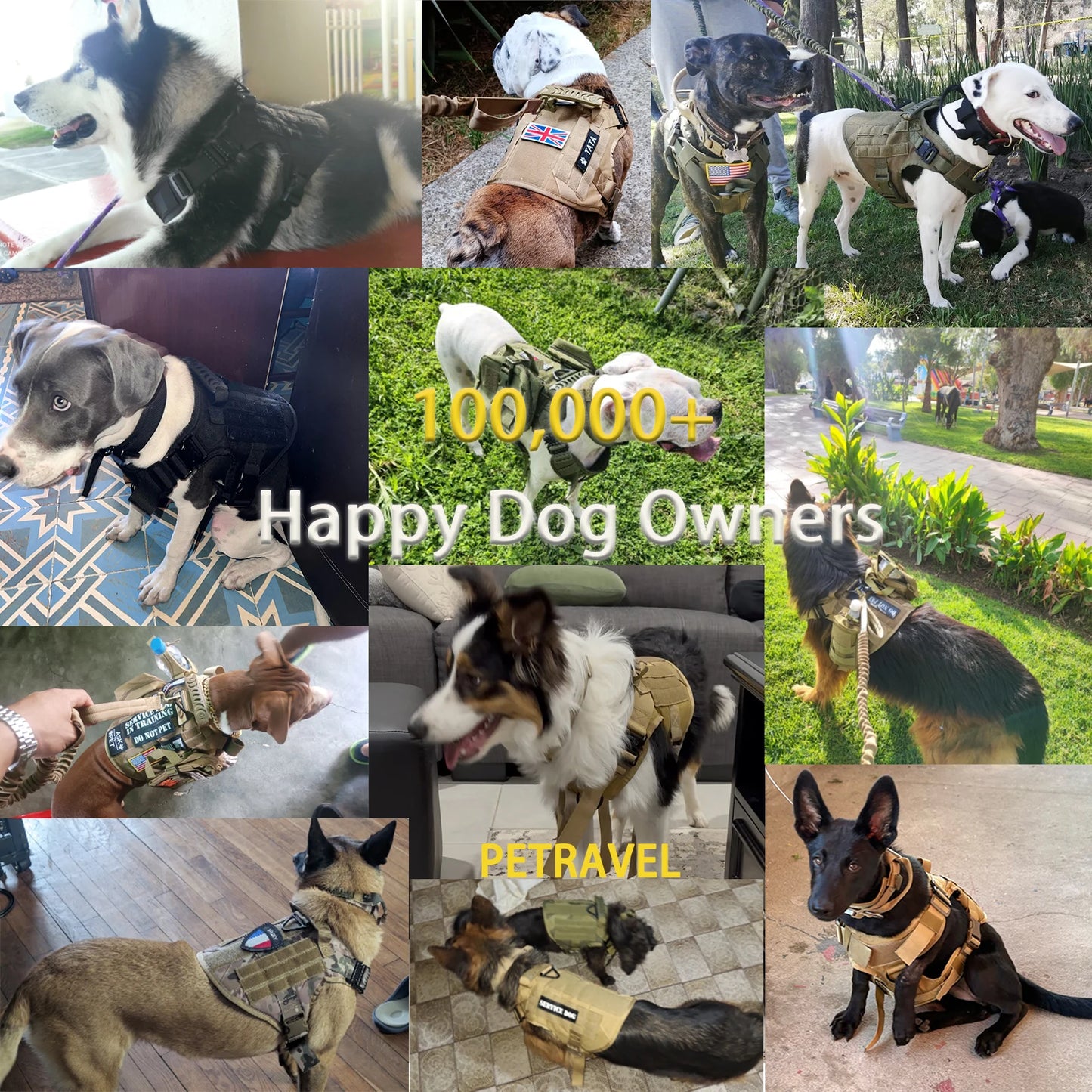 Tactical Padded Dog Harness With Quick Release Molle System