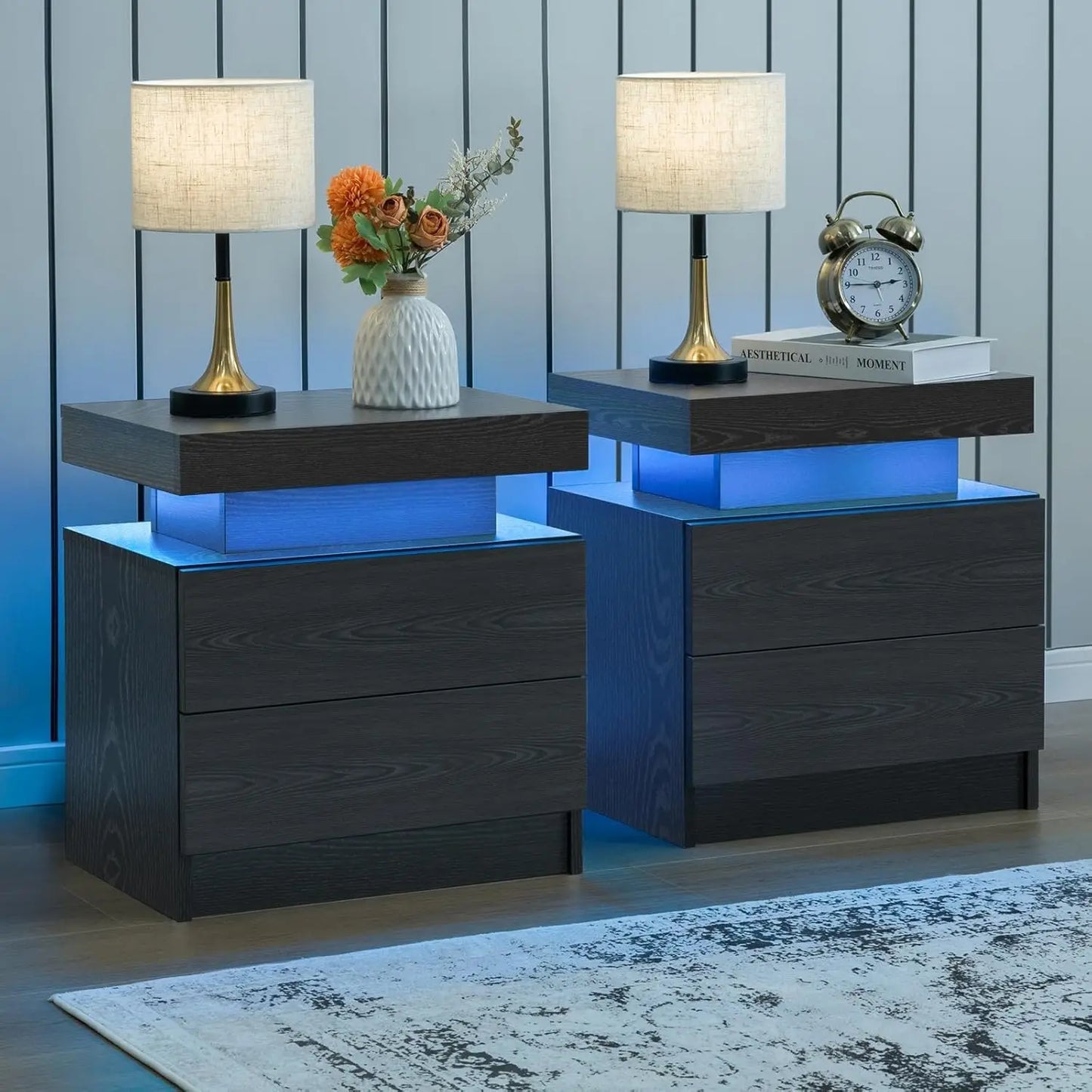 Moyu Led Nightstand Set Of Two With Storage Drawers