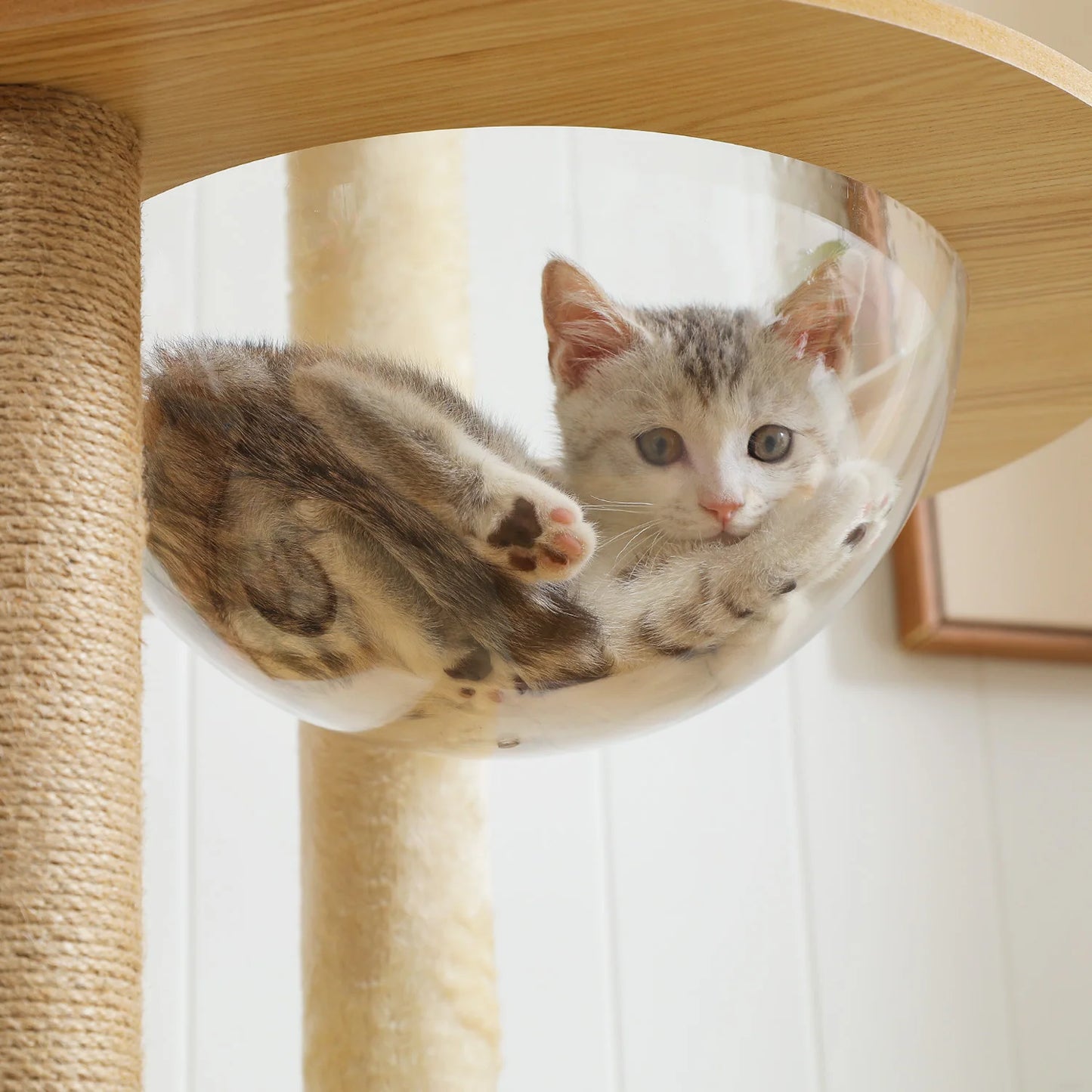 PAWZ Ro Multi Level Cat Tree Indoor Wood Tower Deluxe