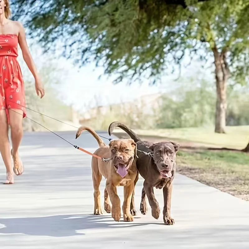 Dual Head Self Retracting Pet Leash for Two Dogs Outdoor