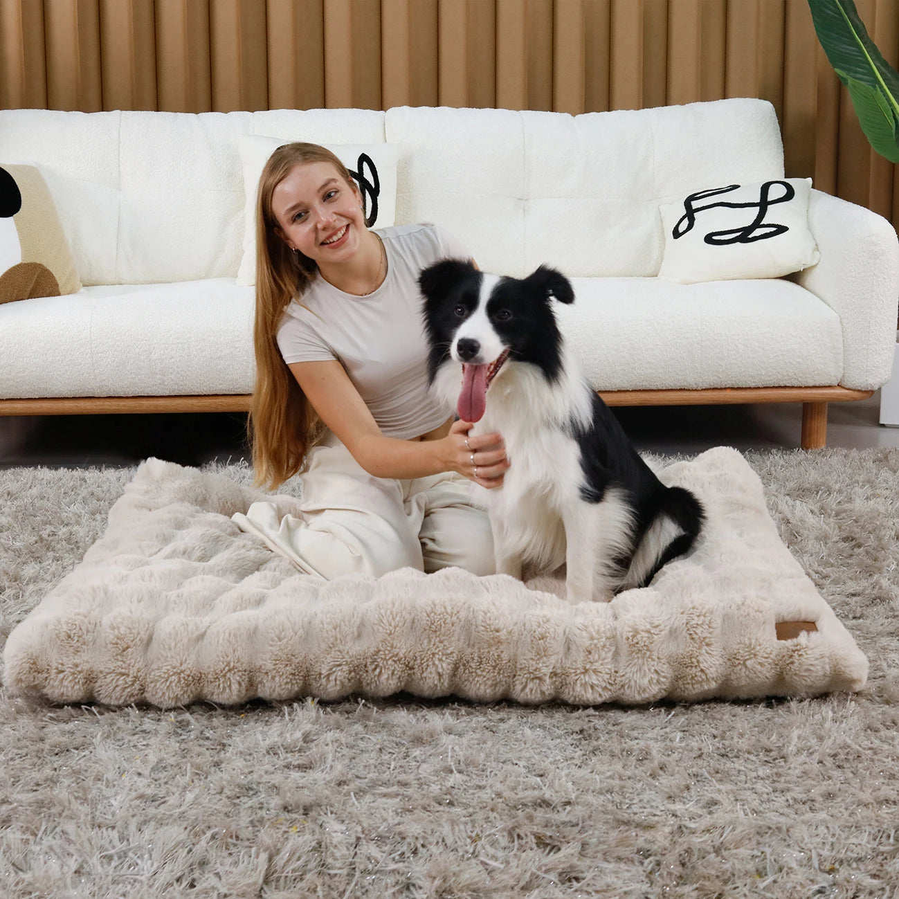 Bingopaw Plush Dog Bed With Thick Foam Base Removable Cover