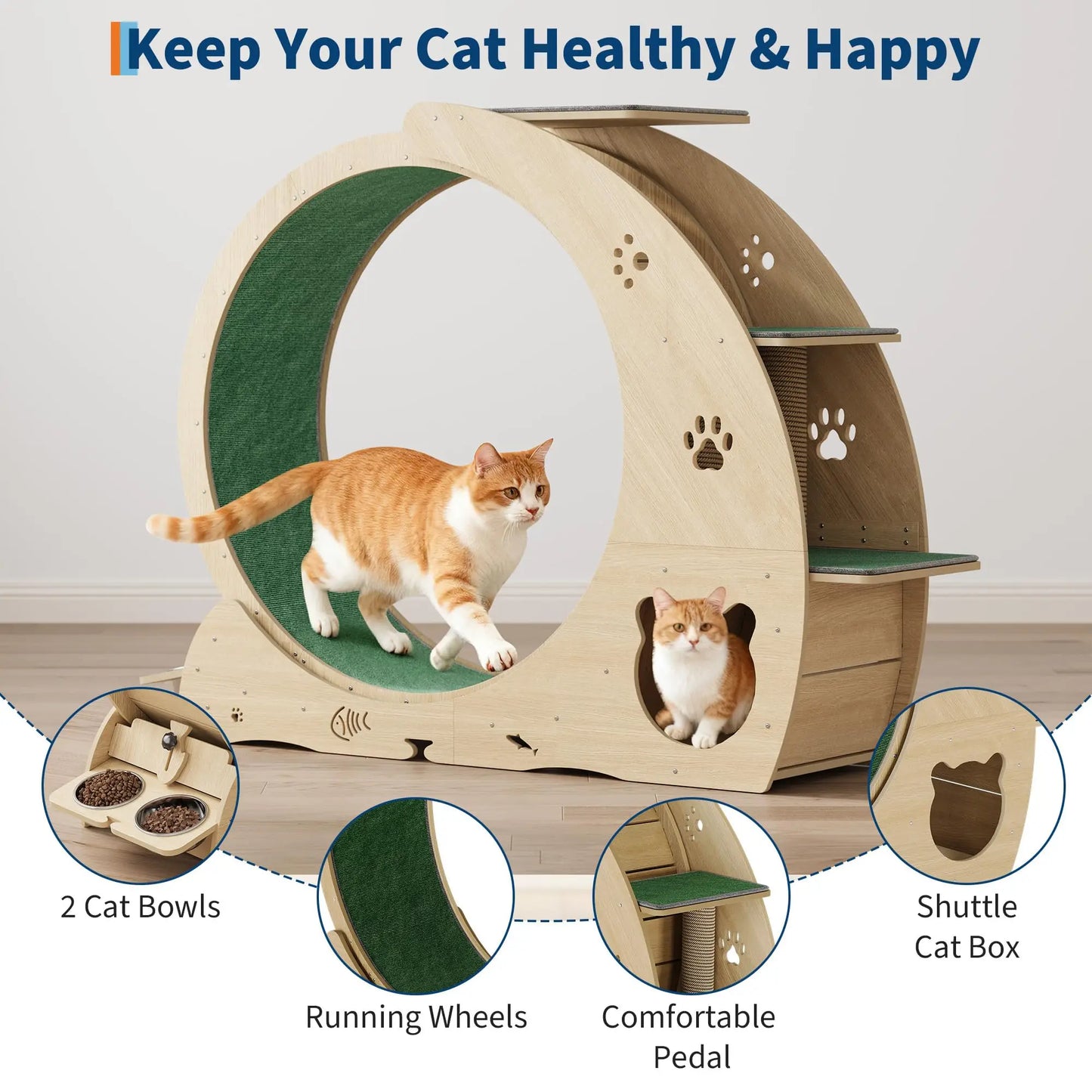 HiMISS Multifunctional Cat Exercise Wheel Scratch Post